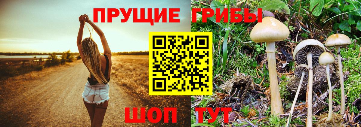 Галлюциногенные грибы MAGIC MUSHROOMS  Вход с VPN  Первоуральск 