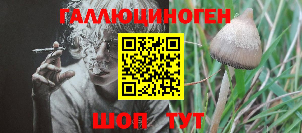 Псилоцибиновые грибы прущие грибы Первоуральск
